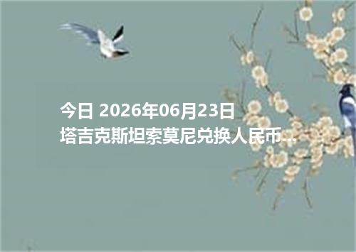 今日 2026年06月23日 塔吉克斯坦索莫尼兑换人民币最新汇率行情