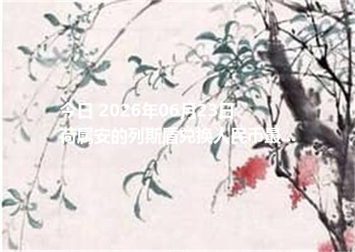 今日 2026年06月23日 荷属安的列斯盾兑换人民币最新汇率行情