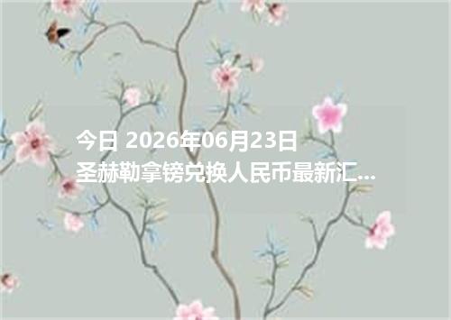今日 2026年06月23日 圣赫勒拿镑兑换人民币最新汇率行情