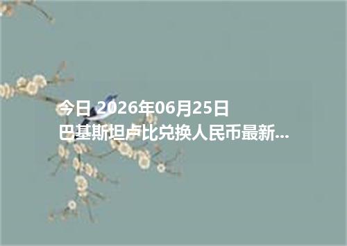 今日 2026年06月25日 巴基斯坦卢比兑换人民币最新汇率行情