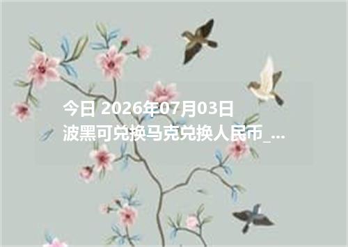 今日 2026年07月03日 波黑可兑换马克兑换人民币_最新BAM汇率行情