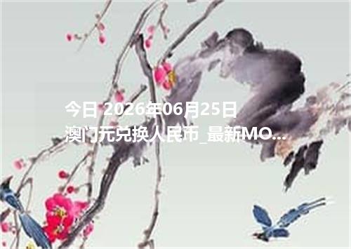 今日 2026年06月25日 澳门元兑换人民币_最新MOP汇率行情