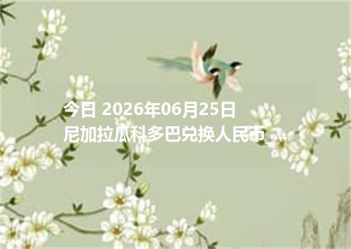 今日 2026年06月25日 尼加拉瓜科多巴兑换人民币_最新NIO汇率行情