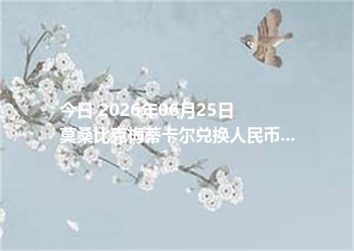 今日 2026年06月25日 莫桑比克梅蒂卡尔兑换人民币_最新MZN汇率行情