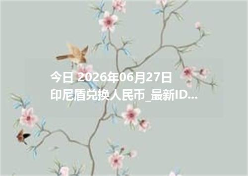 今日 2026年06月27日 印尼盾兑换人民币_最新IDR汇率行情
