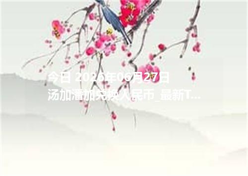 今日 2026年06月27日 汤加潘加兑换人民币_最新TOP汇率行情