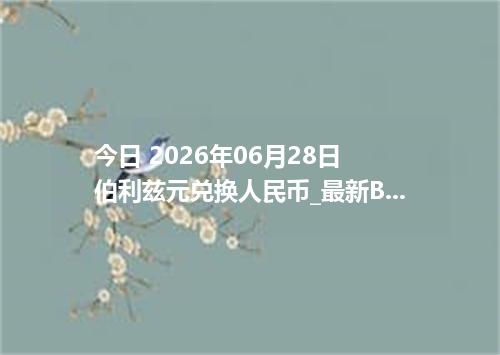 今日 2026年06月28日 伯利兹元兑换人民币_最新BZD汇率行情