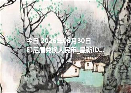 今日 2026年06月30日 印尼盾兑换人民币_最新IDR汇率行情