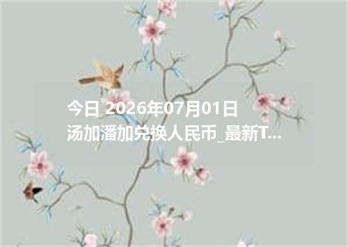 今日 2026年07月01日 汤加潘加兑换人民币_最新TOP汇率行情