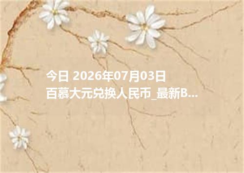 今日 2026年07月03日 百慕大元兑换人民币_最新BMD汇率行情