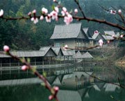 浠水天气预报7天